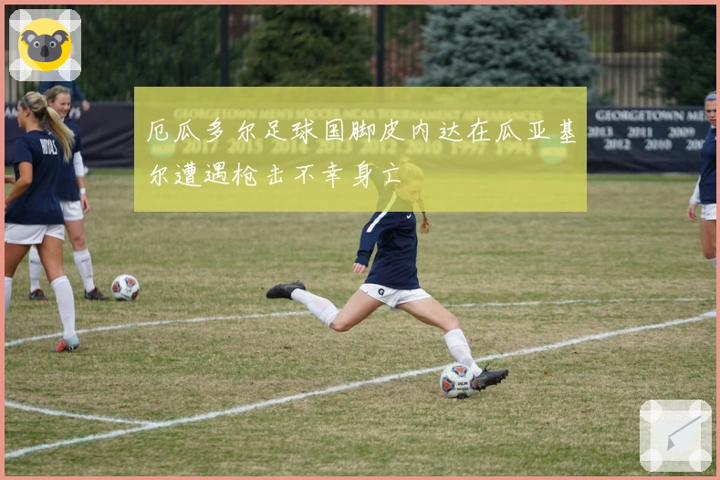 厄瓜多尔足球国脚皮内达在瓜亚基尔遭遇枪击不幸身亡