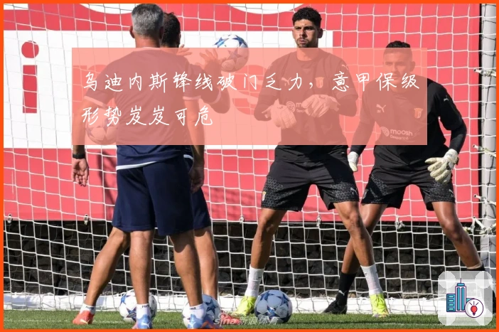 乌迪内斯锋线破门乏力，意甲保级形势岌岌可危