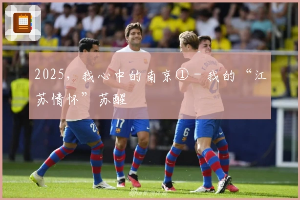 2025，我心中的南京① - 我的“江苏情怀”苏醒